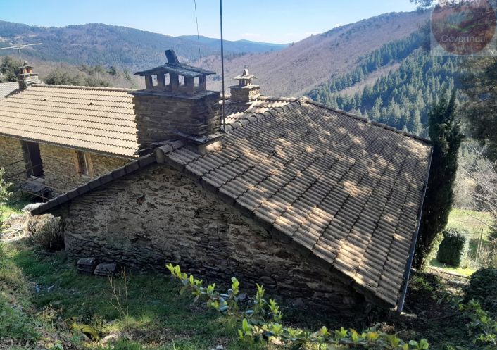 à vendre Mas Saint Hilaire De Lavit