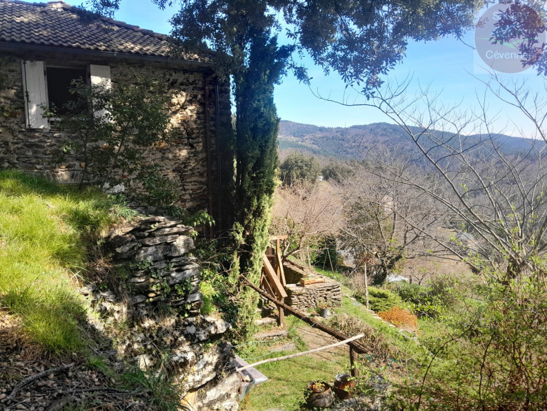 vente Mas Saint Hilaire De Lavit - Photo 5