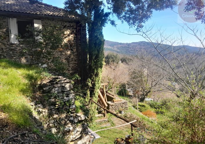 à vendre Mas Saint Hilaire De Lavit