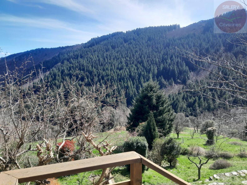 vente Mas Saint Hilaire De Lavit - Photo 6