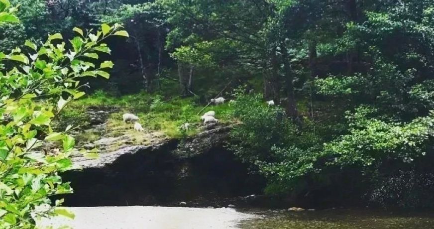 vente Mas Saint Hilaire De Lavit