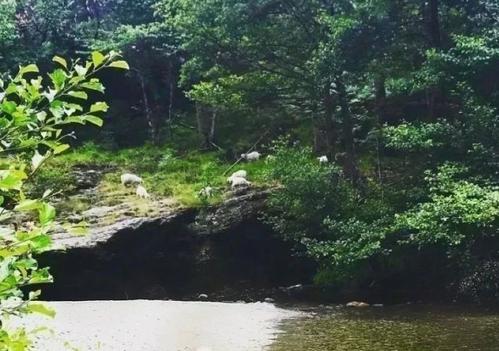 à vendre Mas Saint Hilaire De Lavit