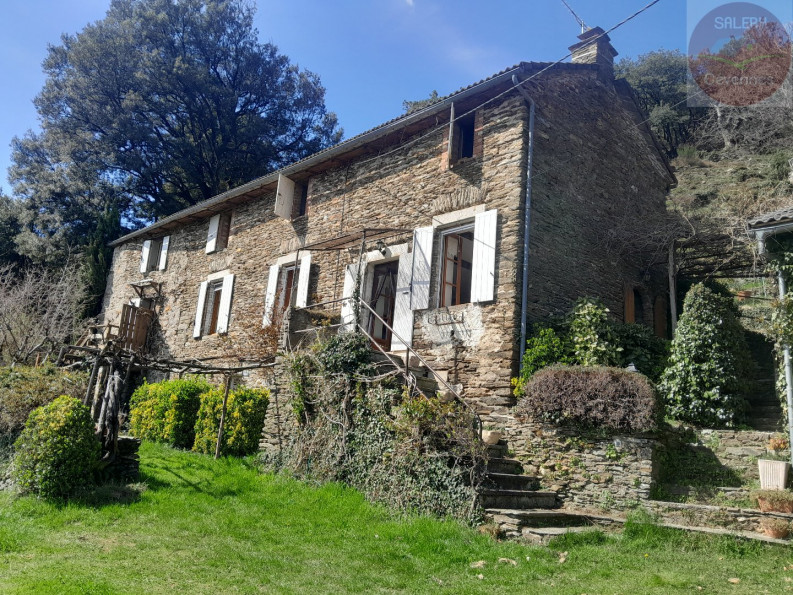 vente Mas Saint Hilaire De Lavit - Photo 1