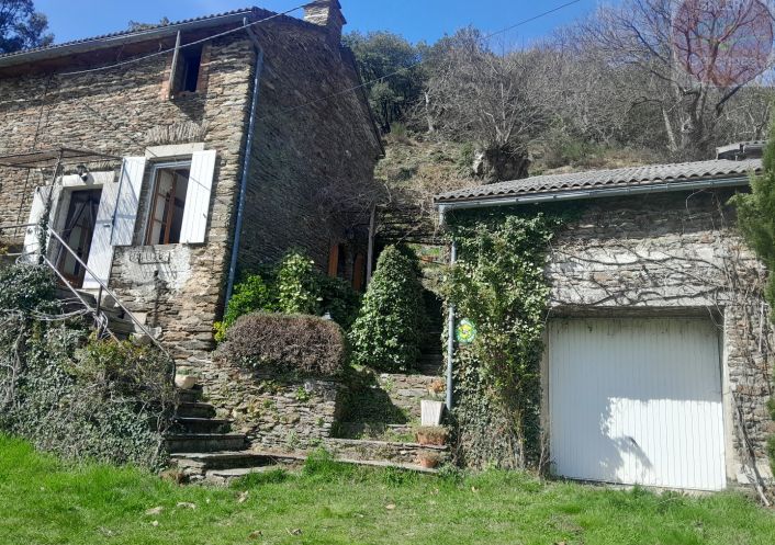 à vendre Mas Saint Hilaire De Lavit