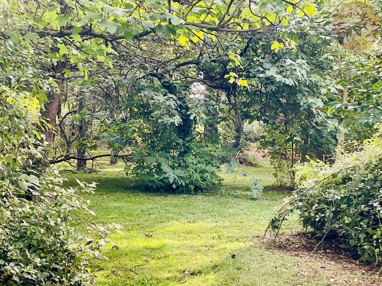 à vendre Mas Anduze - Photo 10