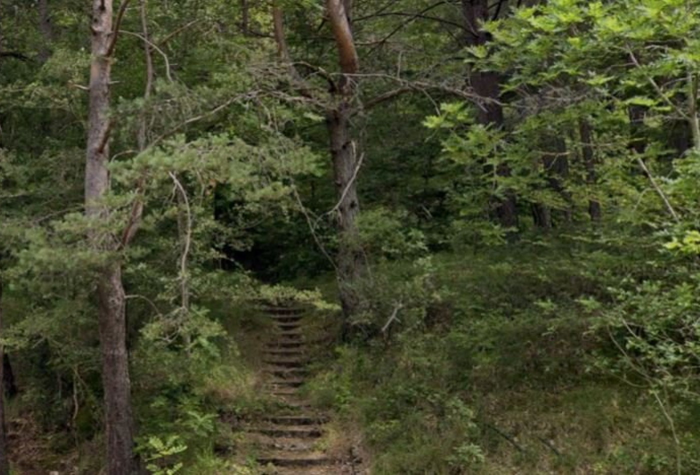 vente Terrain Saint Sauveur Camprieu - Photo 4