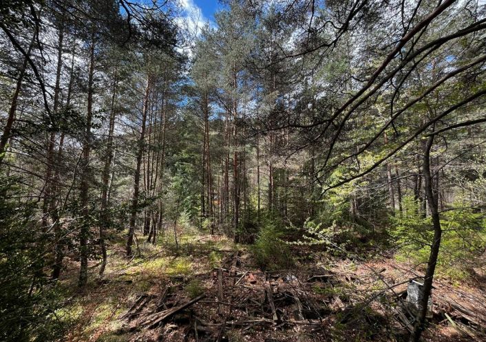 à vendre Terrain Saint Sauveur Camprieu