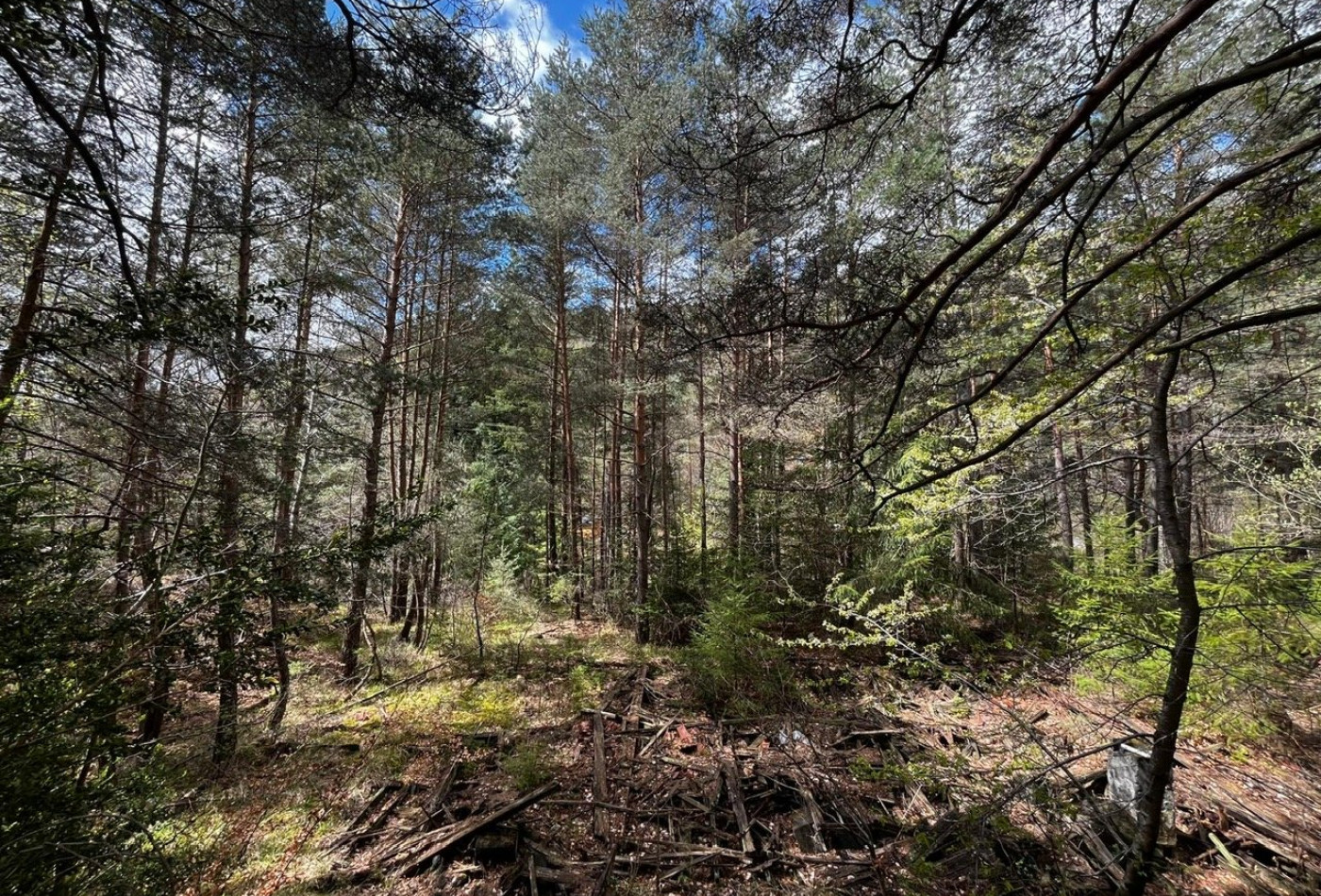 vente Terrain Saint Sauveur Camprieu - Photo 2