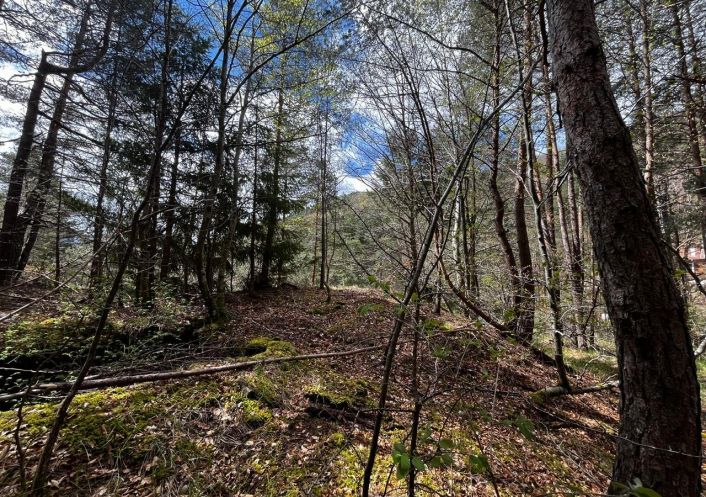 à vendre Terrain Saint Sauveur Camprieu