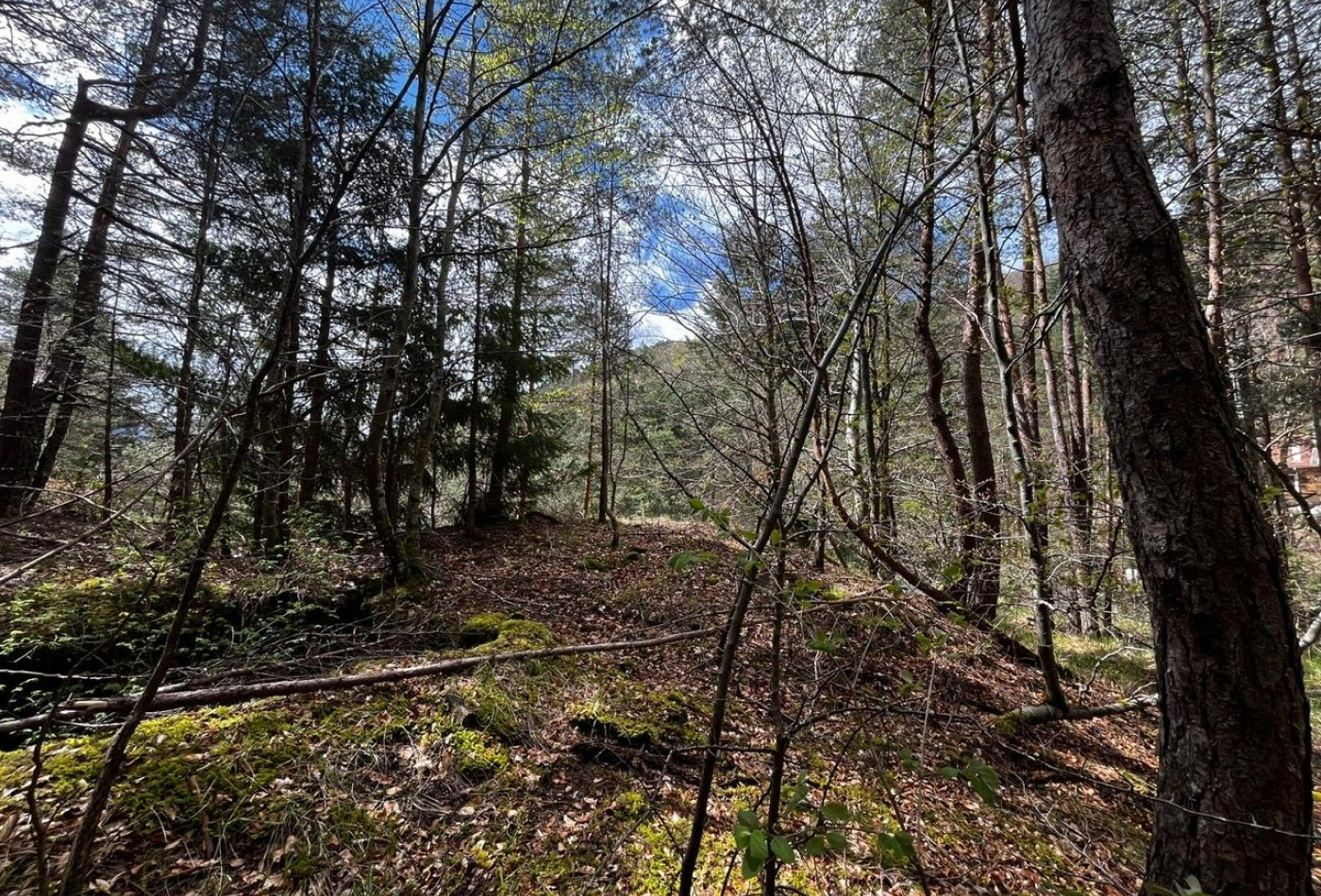 vente Terrain Saint Sauveur Camprieu - Photo 9