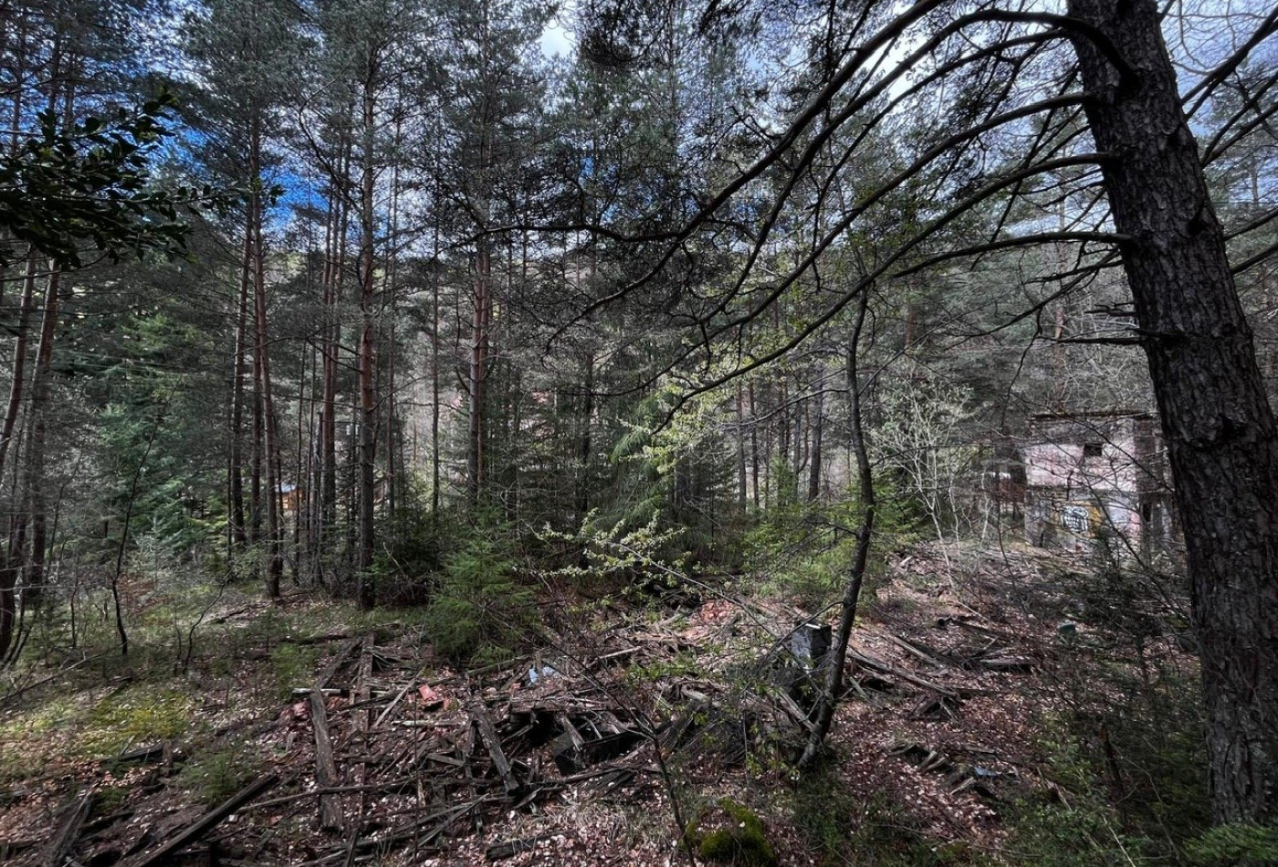 vente Terrain Saint Sauveur Camprieu - Photo 10