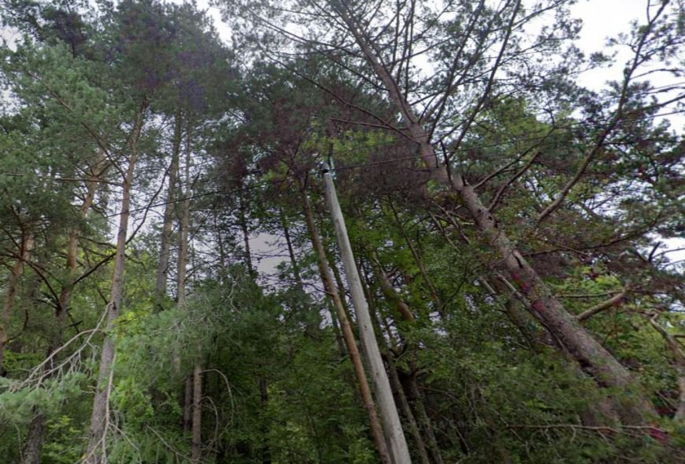 vente Terrain Saint Sauveur Camprieu - Photo 5