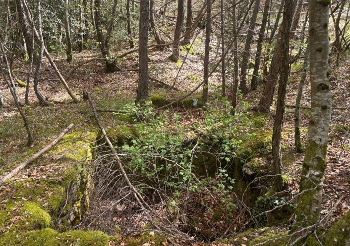 à vendre Terrain Saint Sauveur Camprieu