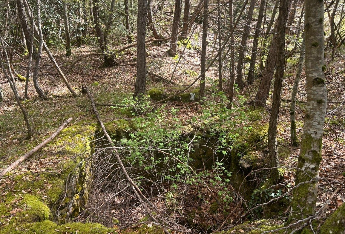 vente Terrain Saint Sauveur Camprieu - Photo 3