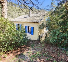 à vendre Saint Andre De Valborgne