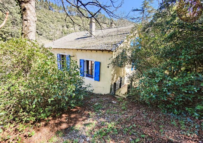 à vendre Villa Saint Andre De Valborgne