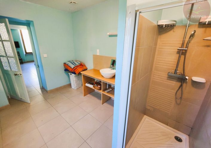 à vendre Villa Saint Andre De Valborgne