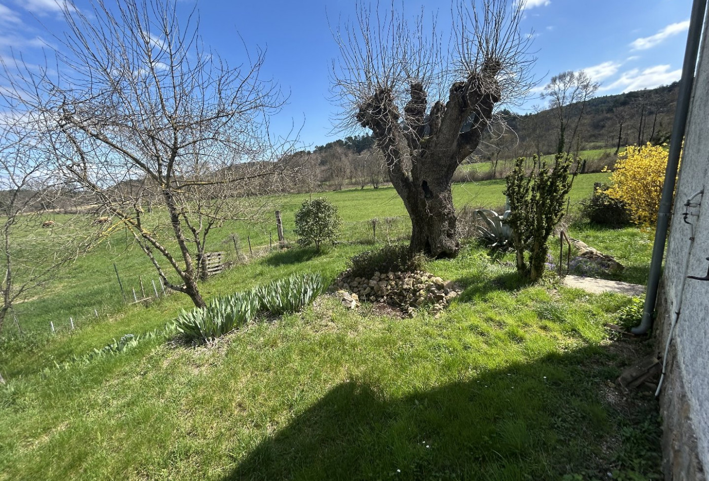 vente Maison individuelle Vabres - Photo 10