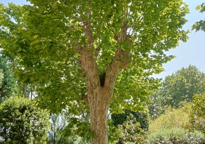 à vendre Maison bourgeoise Saint Hippolyte Du Fort