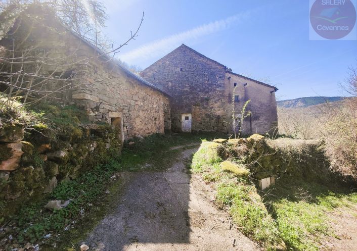 à vendre Propriété Ispagnac