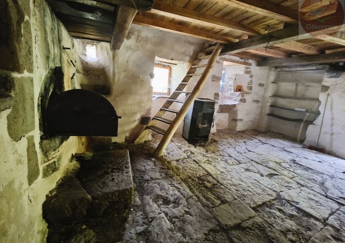 à vendre Propriété Ispagnac