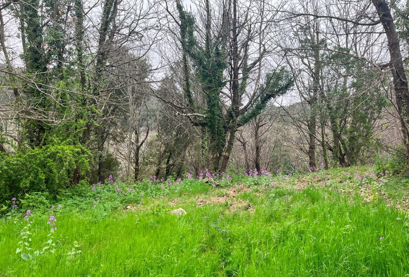 vente Terrain constructible Monoblet - Photo 2