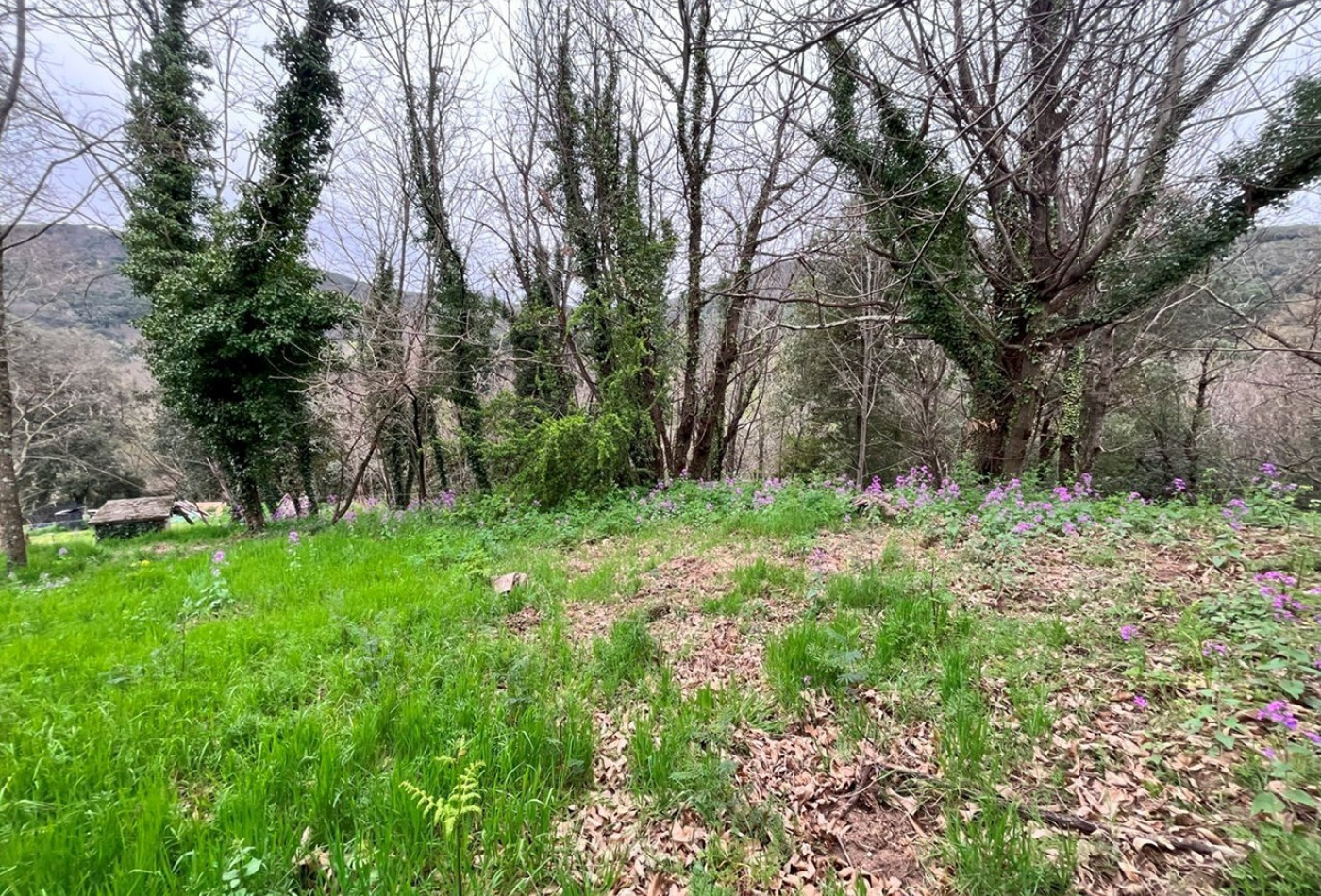 vente Terrain constructible Monoblet - Photo 5