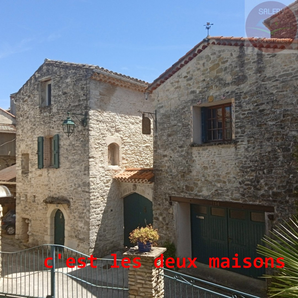 à vendre Maison en pierre Mejannes Les Ales - Photo 1