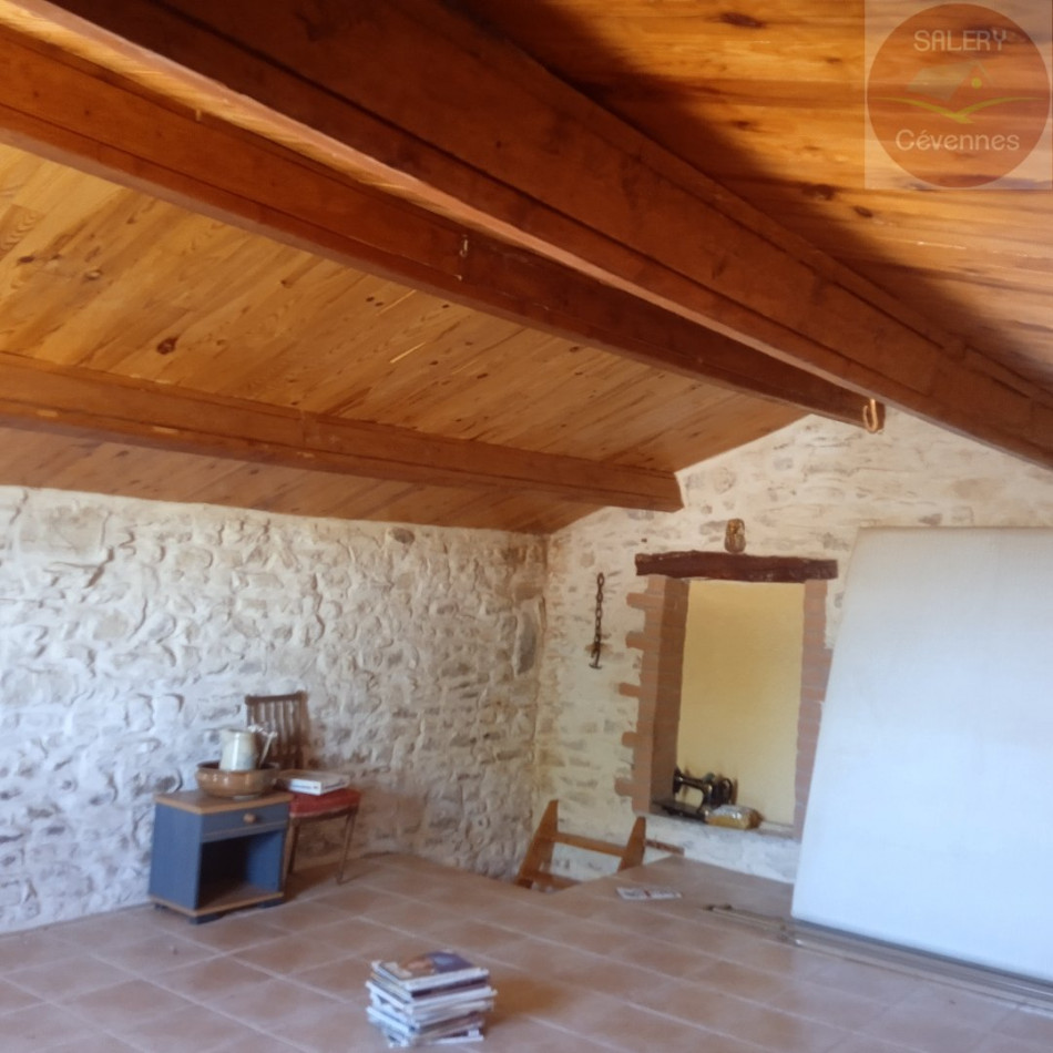 à vendre Maison en pierre Mejannes Les Ales - Photo 8