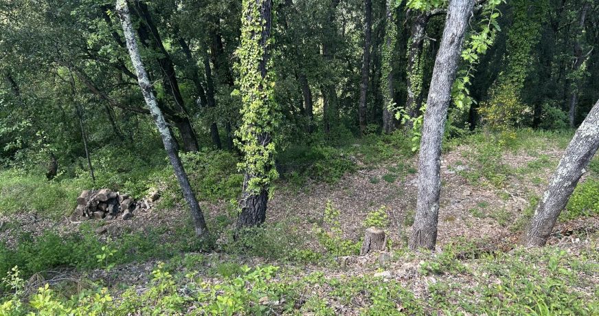 vente Terrain constructible Saint Jean Du Gard