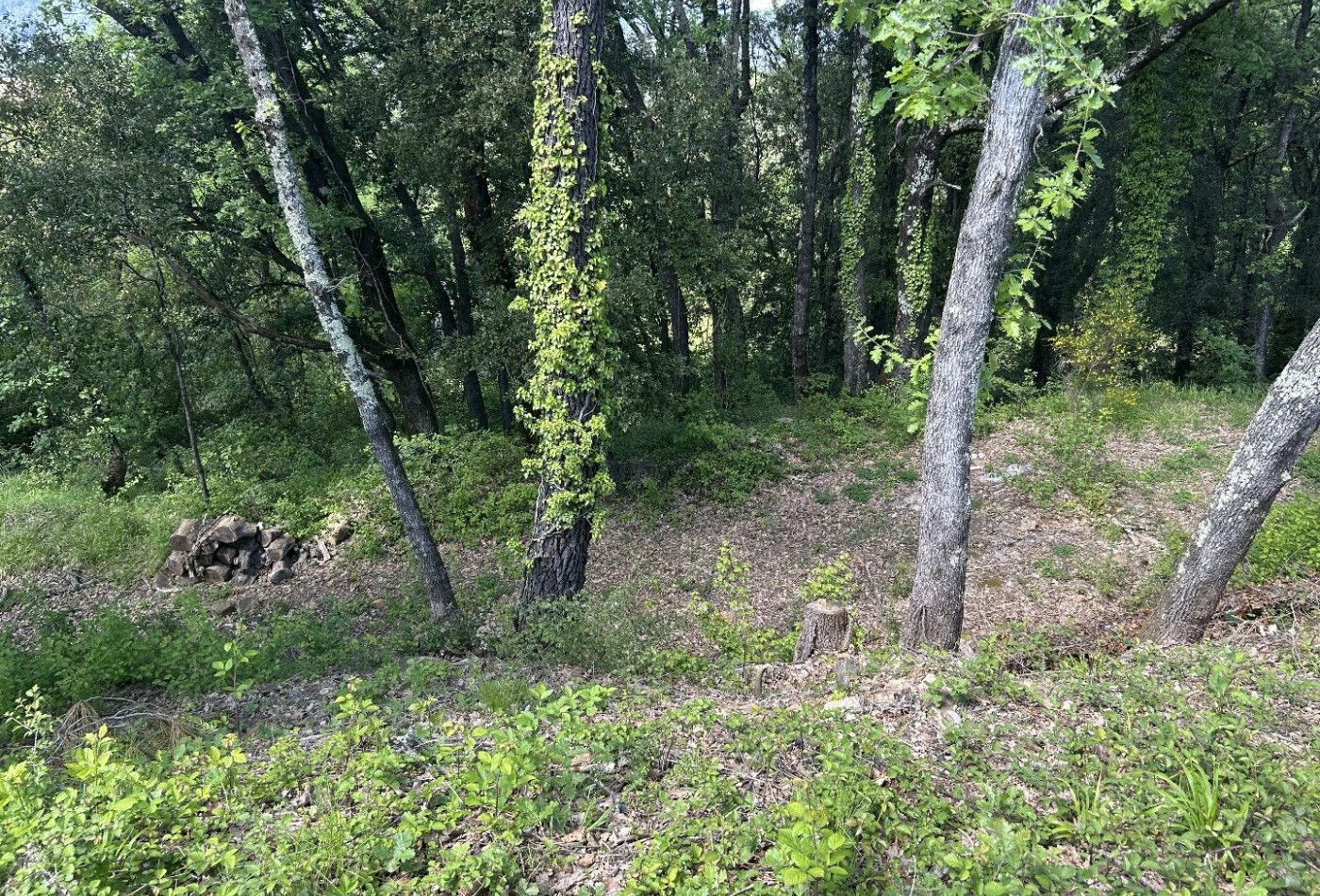 vente Terrain constructible Saint Jean Du Gard - Photo 3