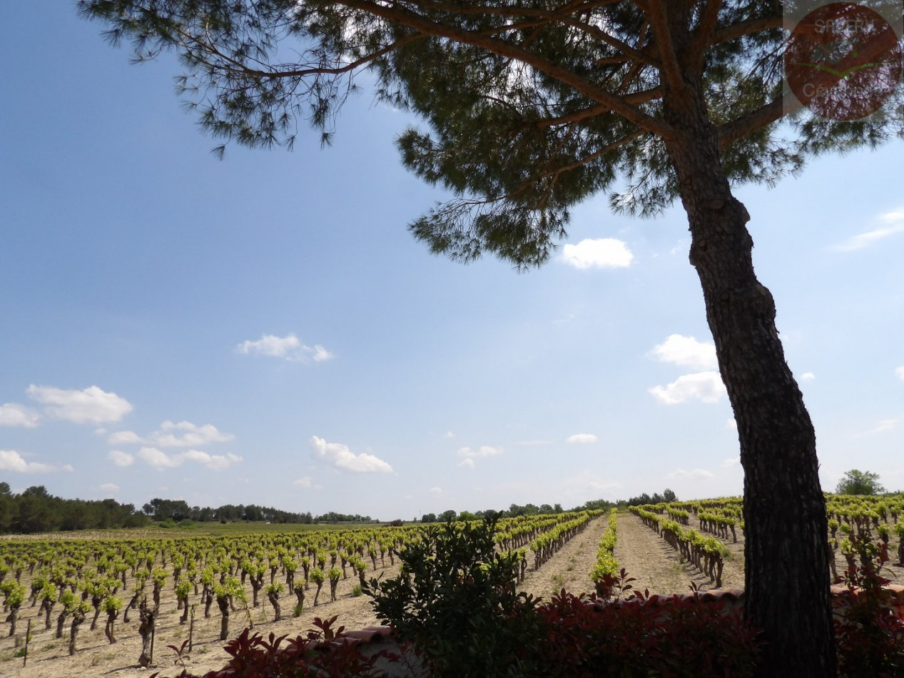 à vendre Maison Aigremont - Photo 2