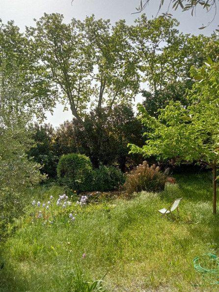 vente Maison vigneronne Durfort Et Saint Martin De So - Photo 2