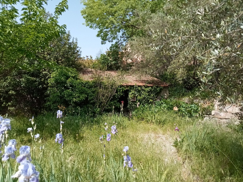 vente Maison vigneronne Durfort Et Saint Martin De So - Photo 4