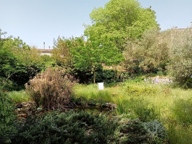 vente Maison vigneronne Durfort Et Saint Martin De So - Photo 6