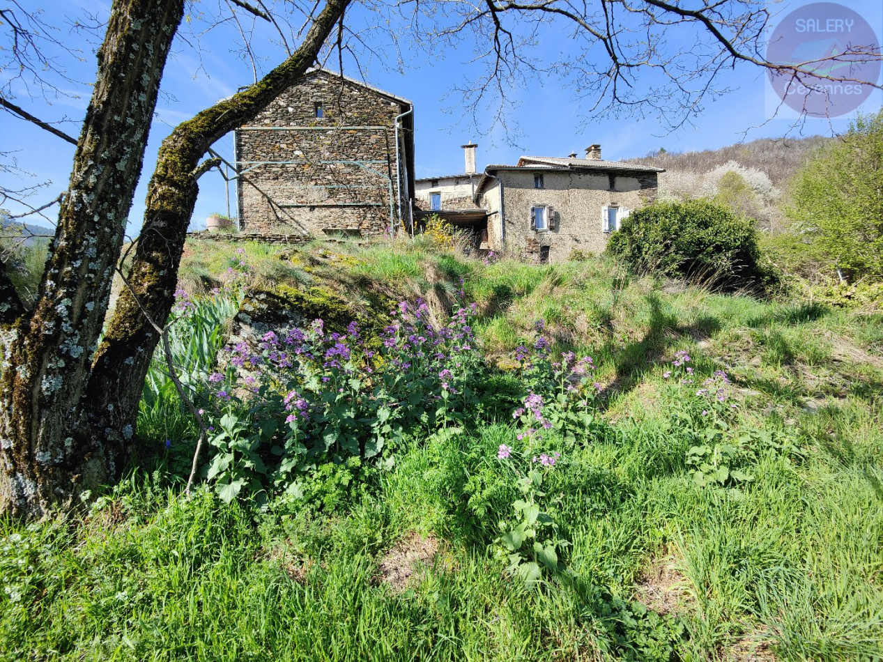 à vendre Mas Saint Andre De Valborgne - Photo 7