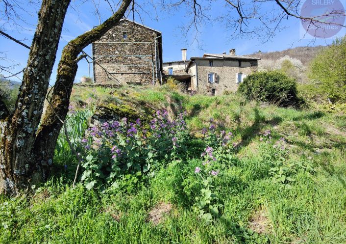 à vendre Mas Saint Andre De Valborgne