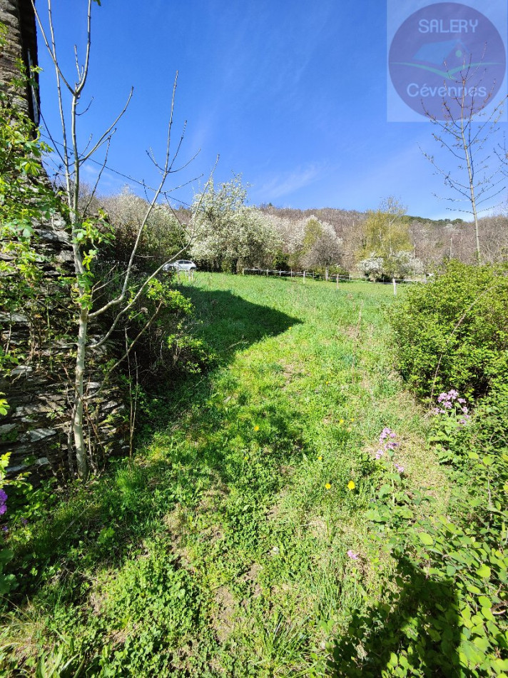 à vendre Mas Saint Andre De Valborgne - Photo 5