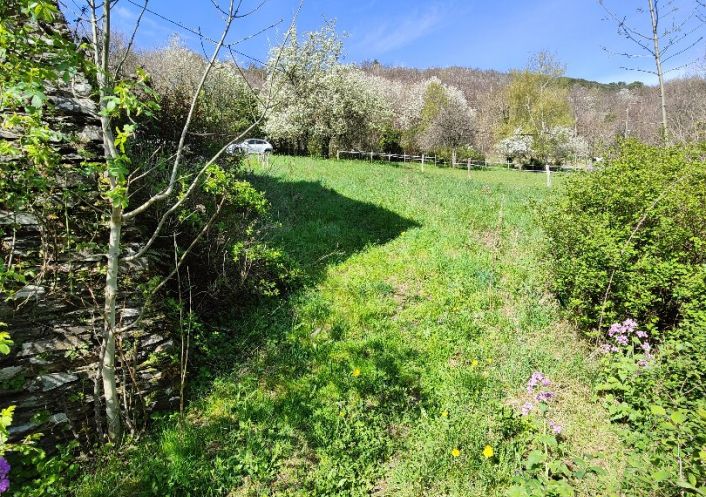 à vendre Mas Saint Andre De Valborgne