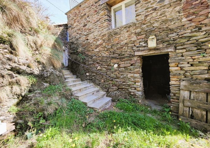 à vendre Mas Saint Andre De Valborgne