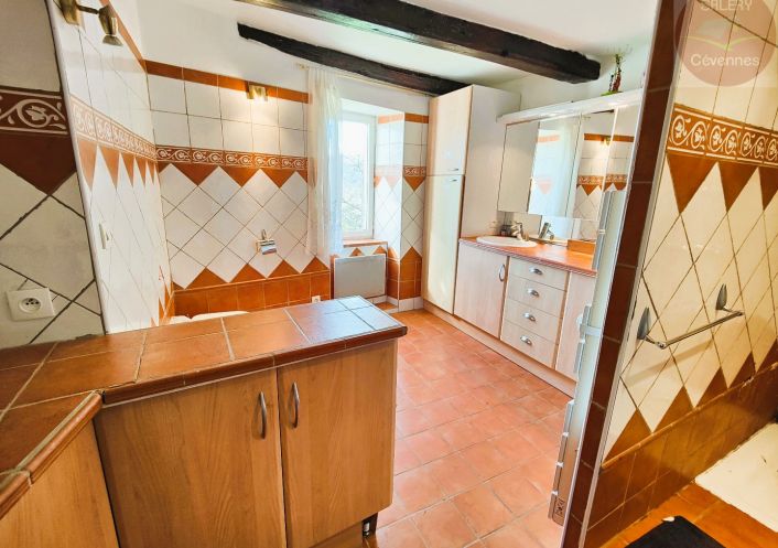 à vendre Mas Saint Andre De Valborgne