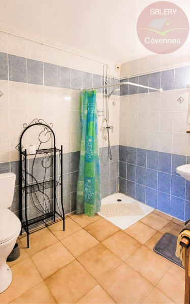 vente Maison en pierre Mas Saint Chely - Photo 10