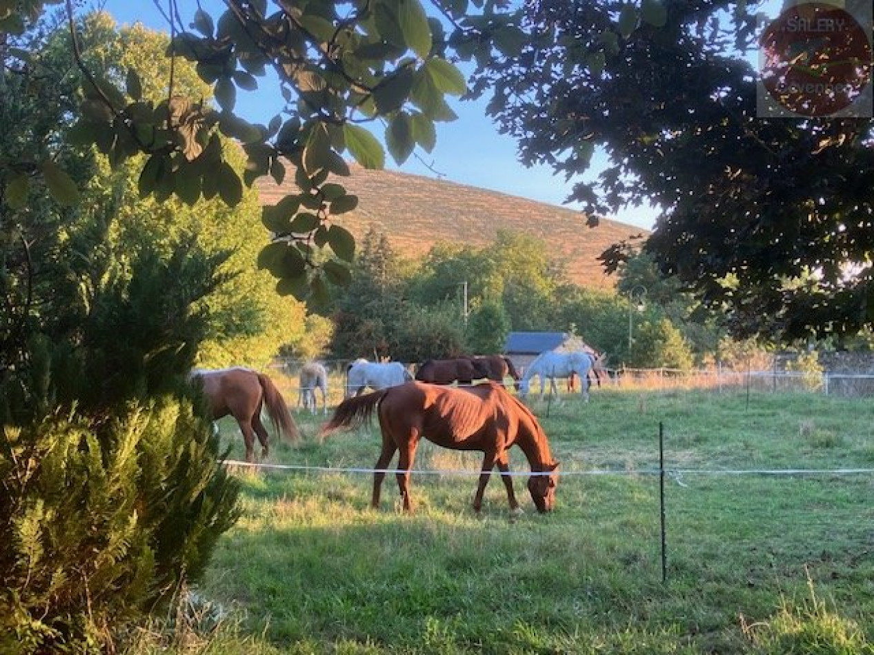 à vendre Maison en pierre Mas Saint Chely - Photo 2