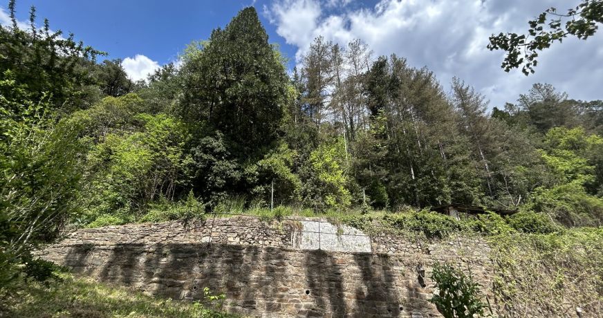 vente Maison L'estrechure