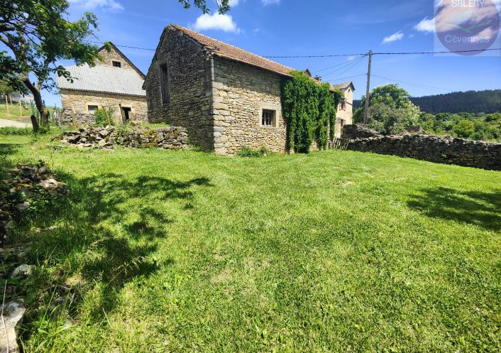 à vendre Ensemble immobilier Grezes