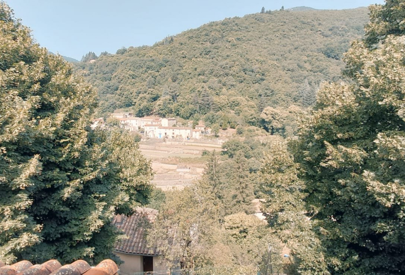 vente Maison de hameau Breau Et Salagosse - Photo 10