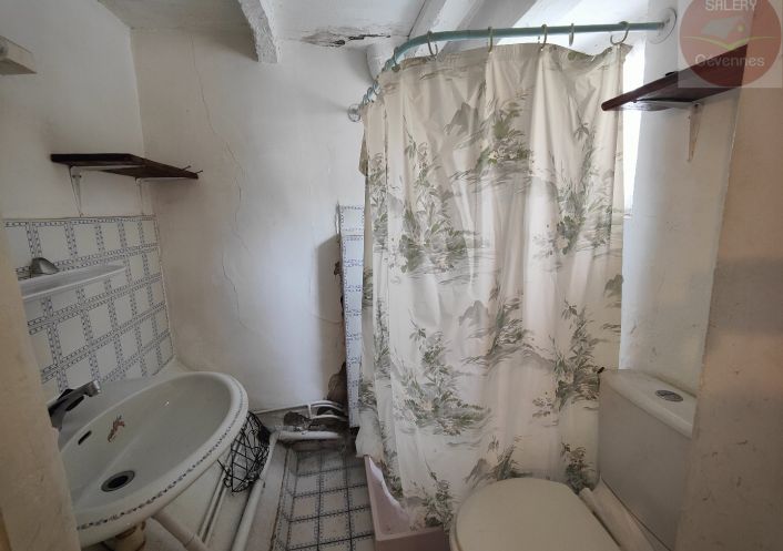 à vendre Ensemble immobilier Le Pont De Montvert