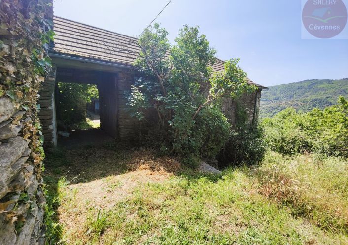 à vendre  Saint Martin De Lansuscle