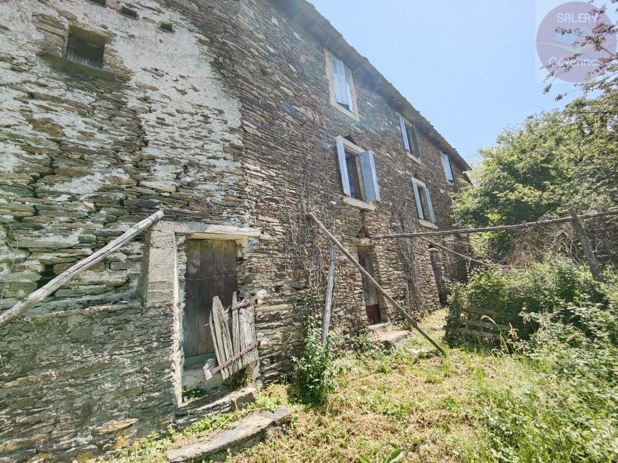 à vendre  Saint Martin De Lansuscle - Photo 4