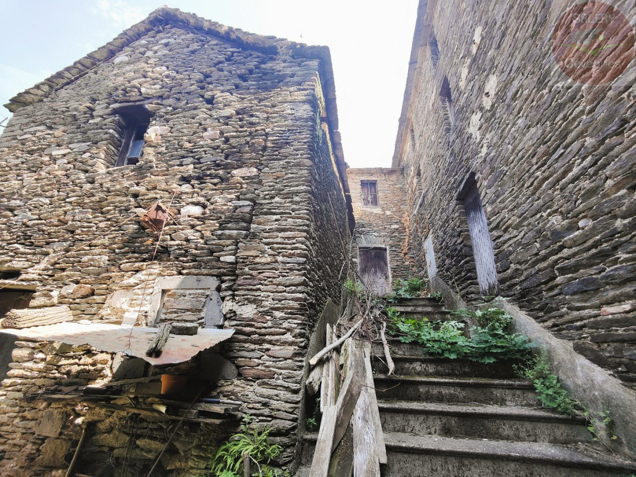 à vendre  Saint Martin De Lansuscle - Photo 3